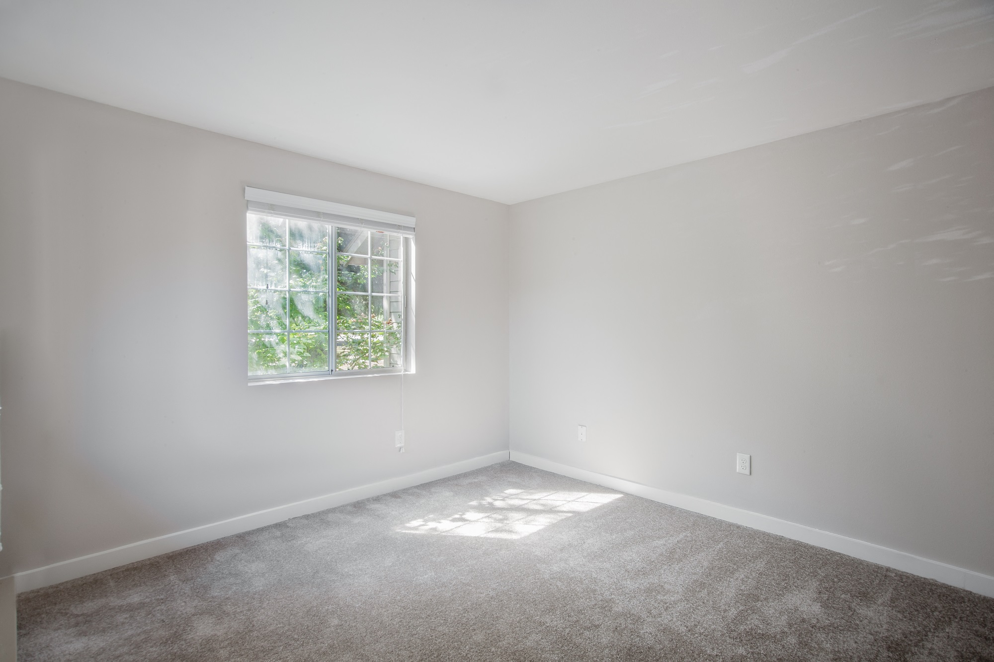 Stonesthrow Apartments Image 14